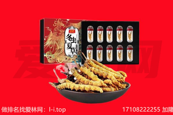 惠州市惠东回收虫草.jpg